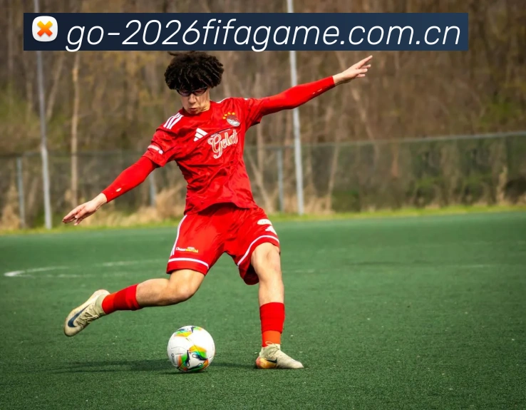 FIFA 官方数据授权认证